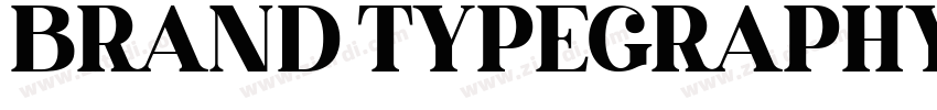 BRAND TYPEGRAPHY字体转换
